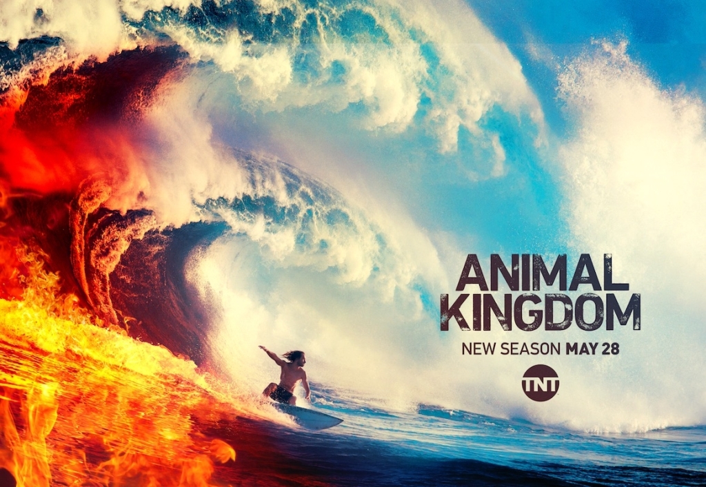 Animal Kingdom: Season 1 Review