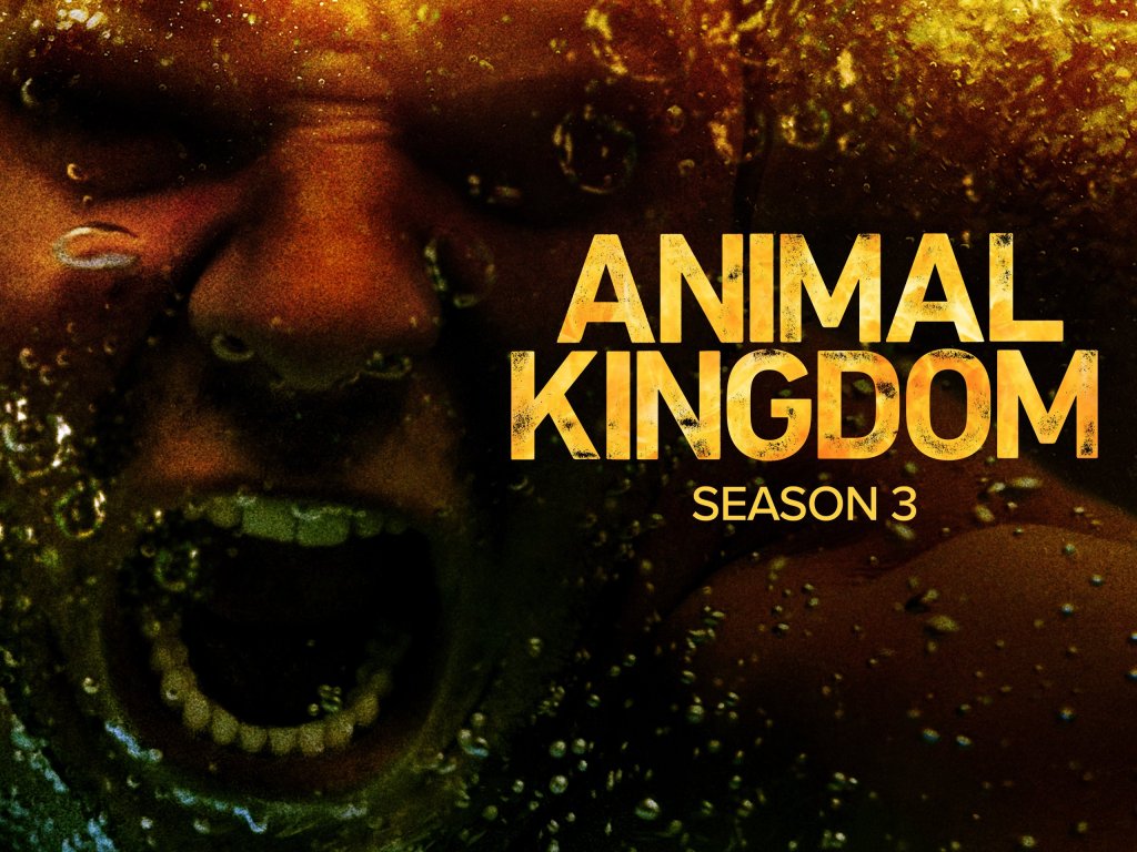 Animal Kingdom: Season 3 Review